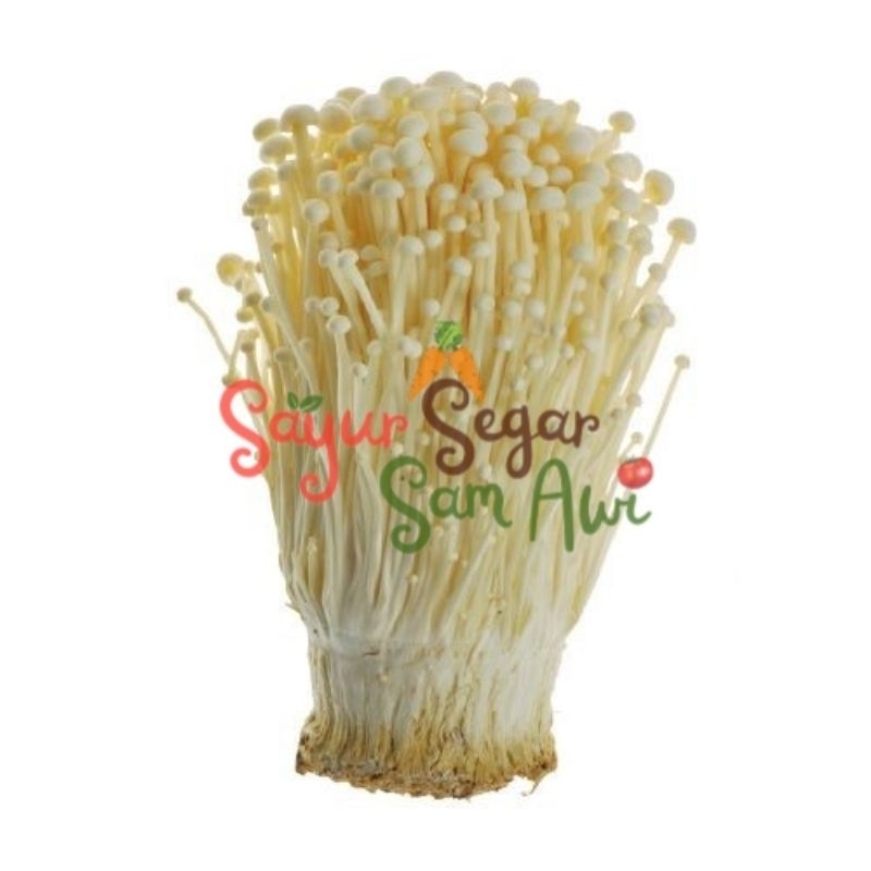 

JAMUR ENOKI 1 pack 100 Gram | INSTANT MALANG | SAYUR SEGAR | SAYUR SEGAR SAM AWI