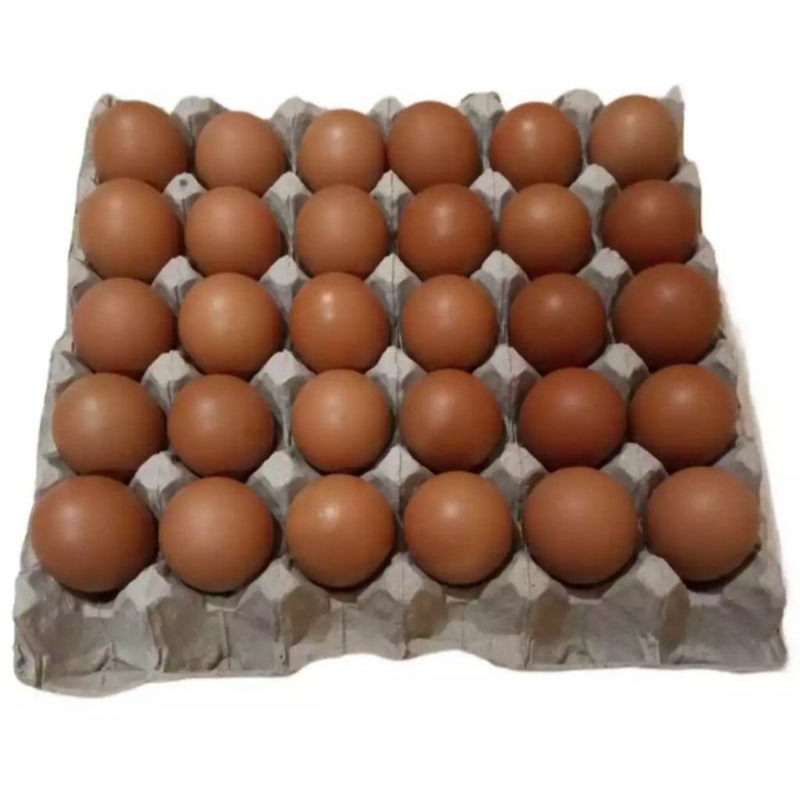 

RB Telur Ayam Segar 1 Kg (Kualitas Bersih)