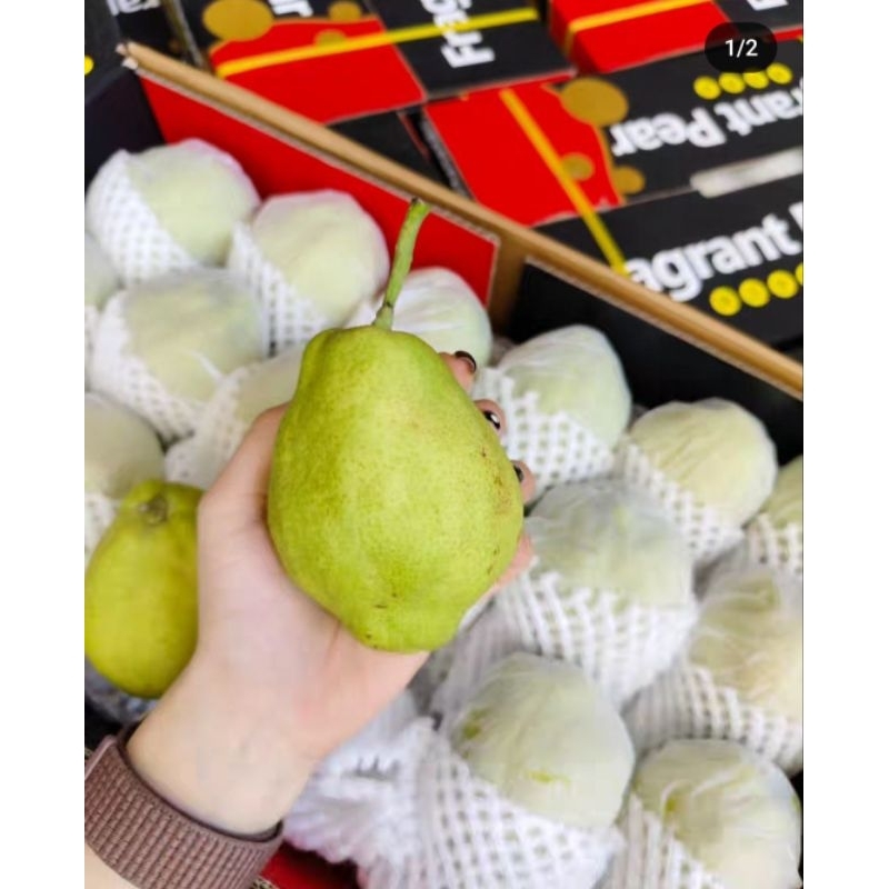 

Pear Xiang Lie 1 Kg