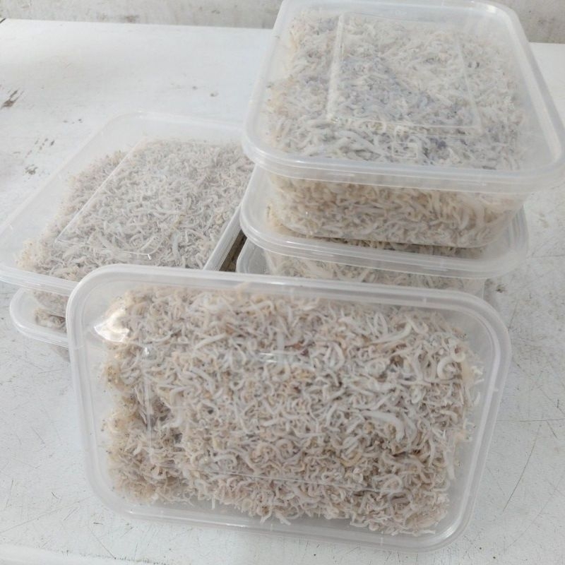 

TERI NASI / IKAN ASIN TERI NASI 200 GR