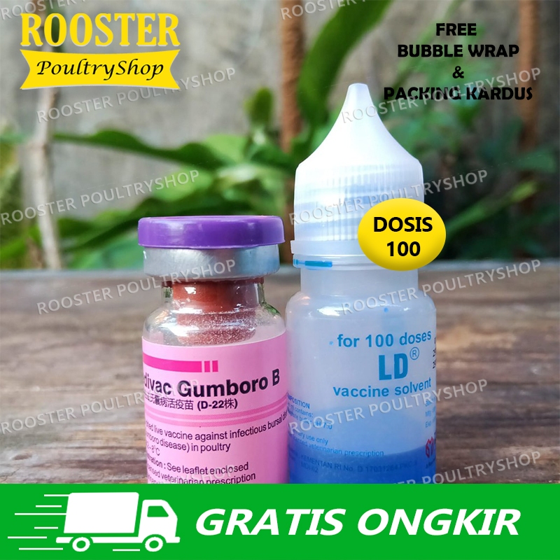 Vaksin Ayam GUMBORO B dosis 100 500 ayam