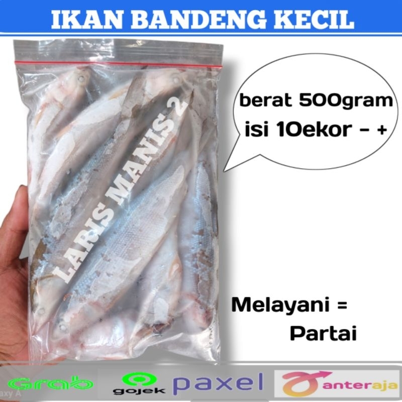 

Ikan bandeng beku ikan bandeng kecil