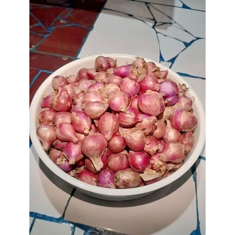 

BAWANG MERAH SUPER || BAWANG MERAH NGANJUK