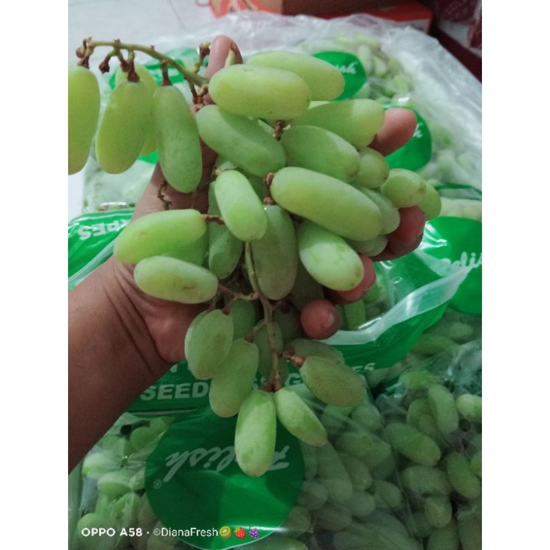 

Anggur Hijau/baca deskripsi produk/only jatim