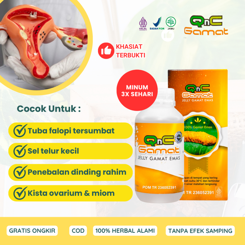 Obat Tuba Falopi Tersumbat Non Paten Penyumbatan Saluran Indung Telur QnC Jelly Gamat