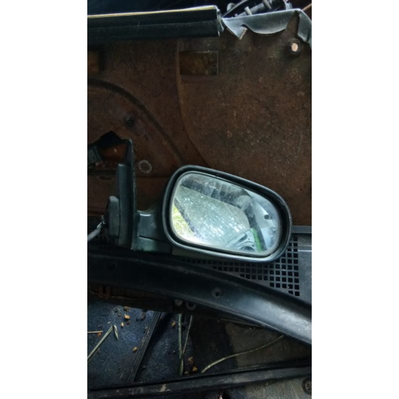 spion maestro nih