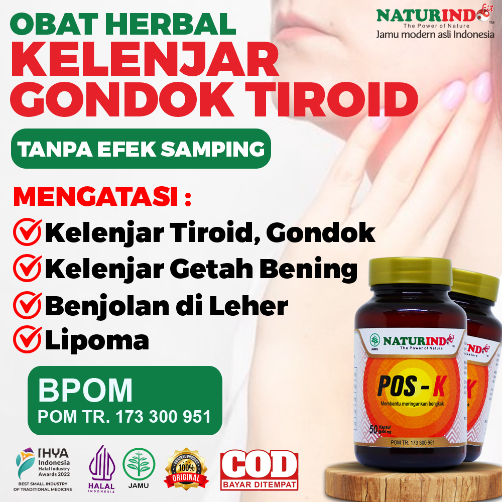 Obat Gondok Kelenjar Hipertiroid Kelenjar Tiroid Posk Naturindo