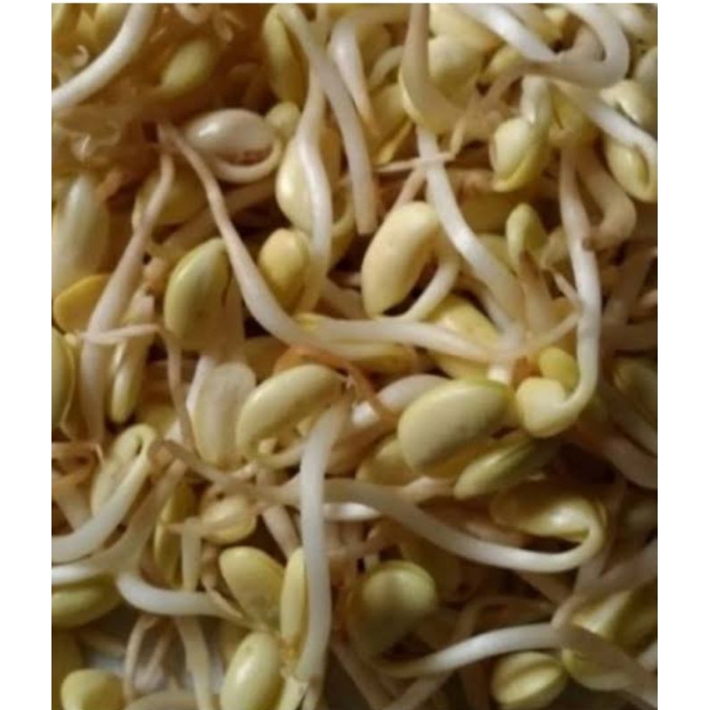 

tokolan wonogiri,100 gr