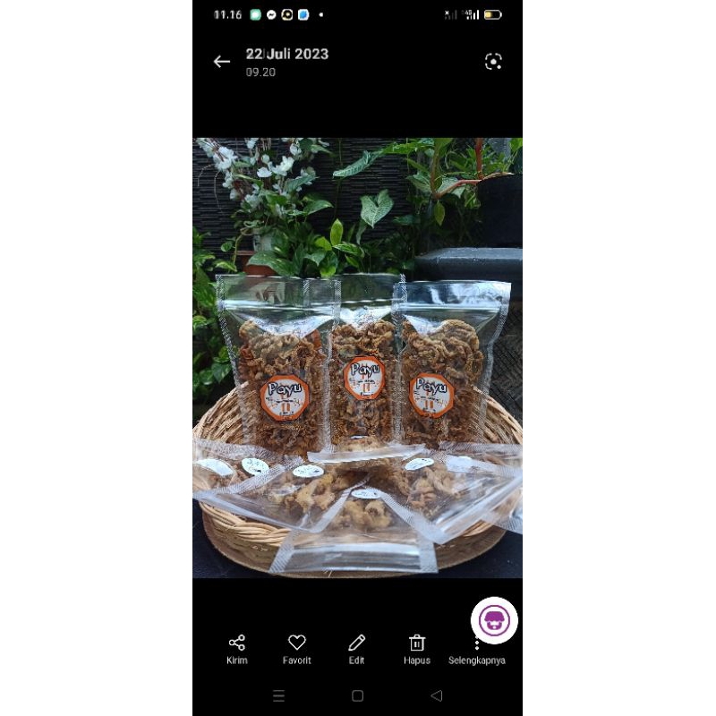 

Keripik usus,
