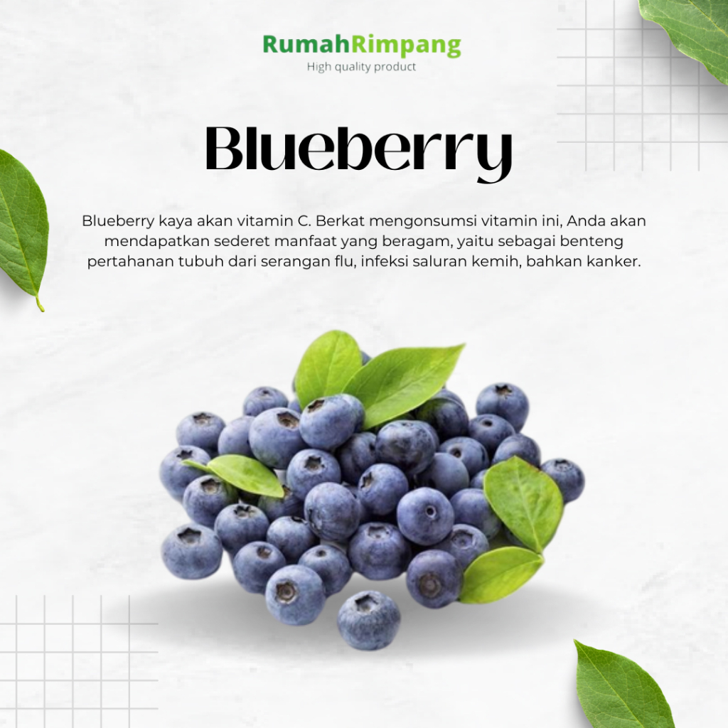 

[BISA INSTAN] JUAL BUAH BLUEBERRIES - KEMASAN 125 GR PER PACK