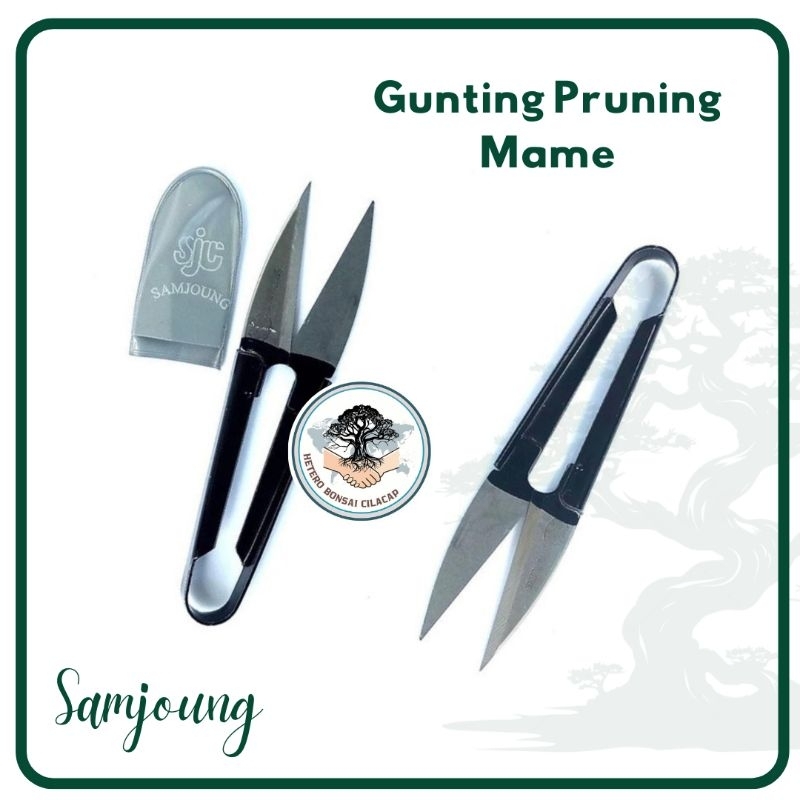 Gunting Prunning Daun Bonsai Mame, Gunting Pruning Tanaman Hias - samjoung