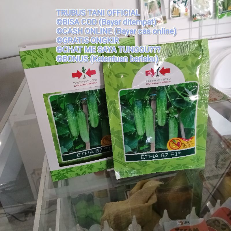 Benih Bibit Timun Etha 87 F1 (Buah Lebat, Disukai Pasar) Isi Benih 800 Butir Kadaluarsa. 2026 (Terba