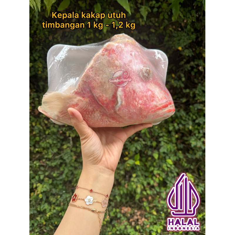 

KEPALA KAKAP UTUH 1 pcs 1 kg - 0.8 kg TERMURAH