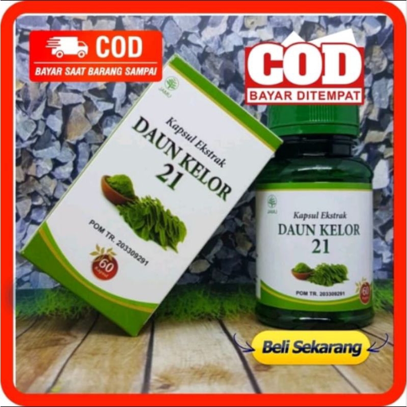 

jamu herbal daun kelor
