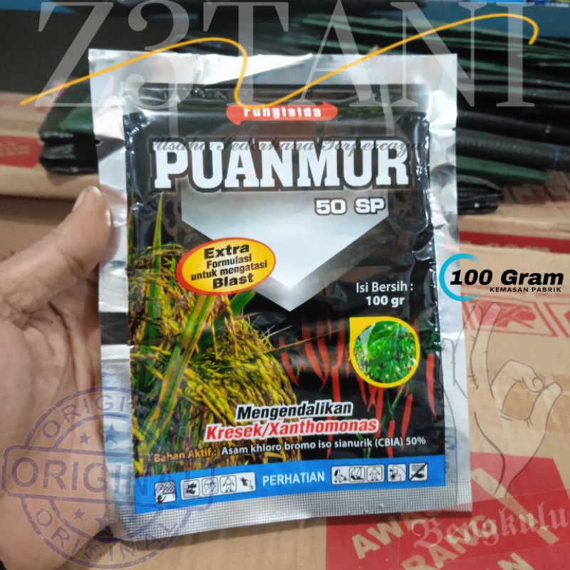 Fungisida Bakterisida PUANMUR 50 SP 100 Gram