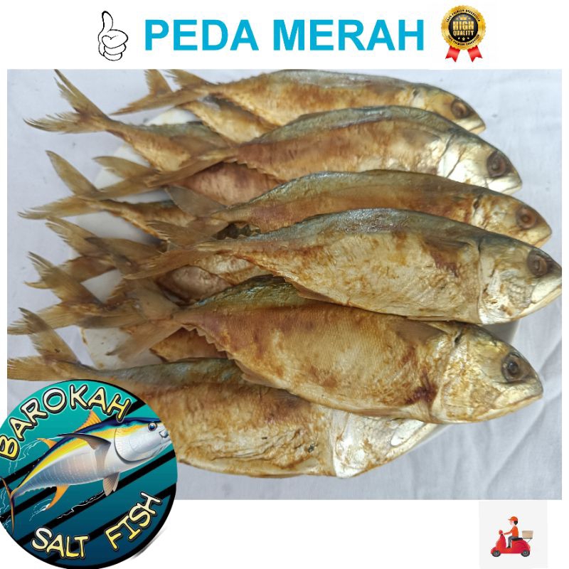 

TERBARU ! IKAN ASIN PEDA MERAH TERMURAH 250 gr | 500 gr | 1 Kg