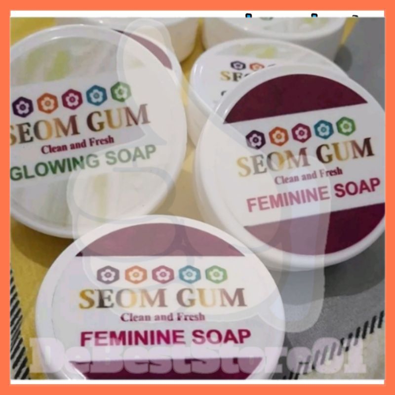 Tempat Sabun Seom Gum / Seom Gum
