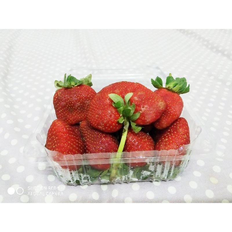 

Buah Strawberry Fresh 1 Paks isi 2 susun