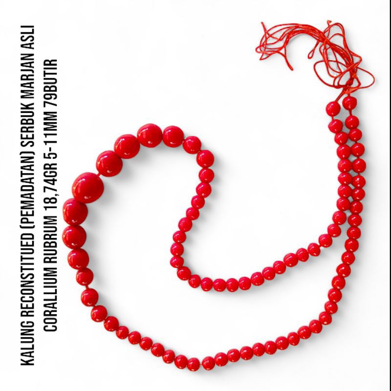 KALUNG RECONSTITUED MARJAN / MARJAN BOMBAY (SINTETIS MARJAN DARI BAHAN SERBUK MARJAN ASLI)