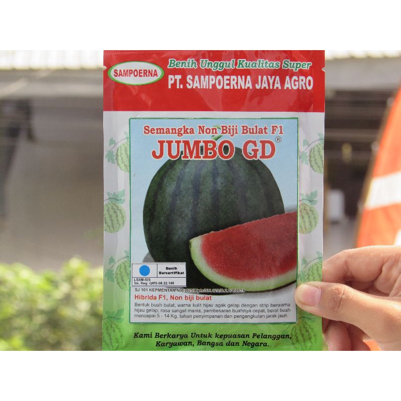 

Semangka Non Biji Bulat F1 JUMBO GD (BELI 10 BKS GRATIS 1 BKS SANGKUNI)