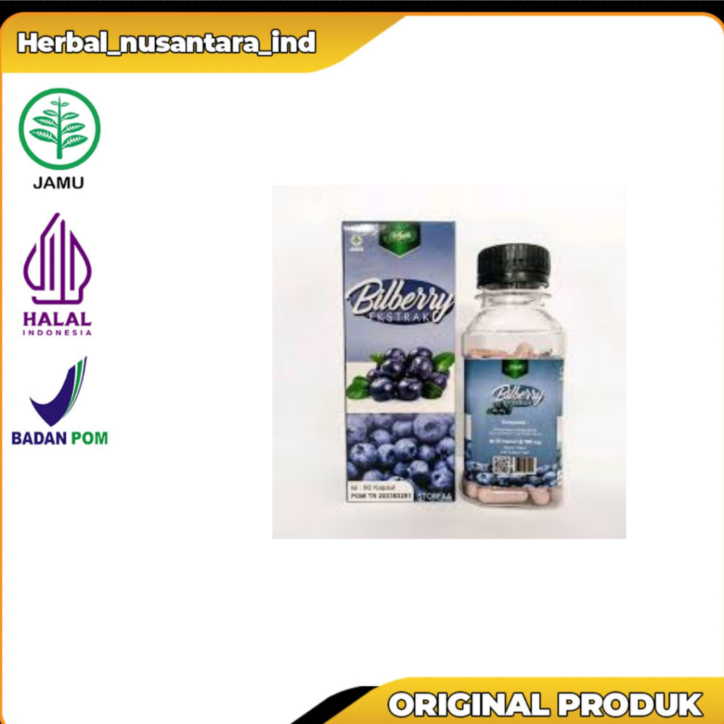 BILBERRY EKSTRAK 60 KPSL CV SYIFA HERBAL ALAMI