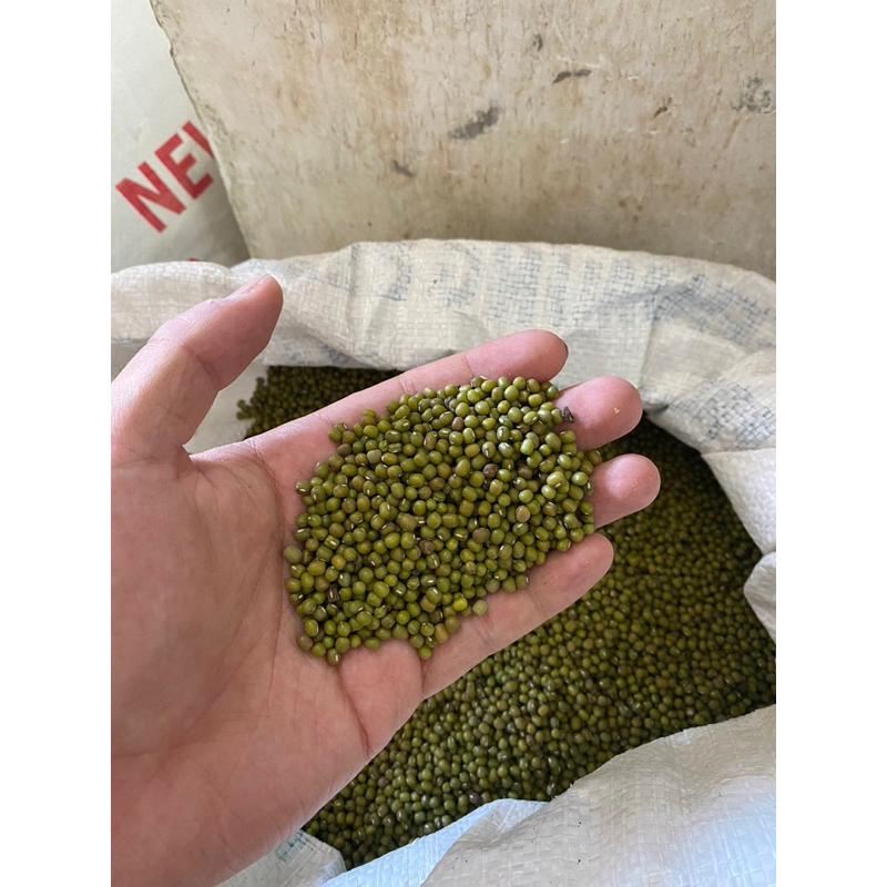 

Kacang Hijau Afrika VAC (25kg)