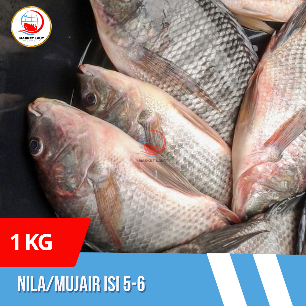 

Ikan Nila Bersih 1 kg Isi 5-6 Ekor Ikan Mujair