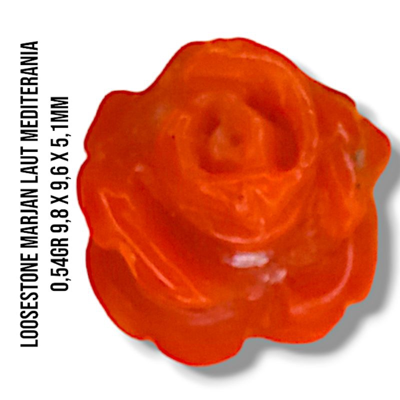 Loosestone Mata Cincin Marjan Merah Corallium Rubrum (Tunisia/Laut Mediterania) Asli Impor Mesir ffa