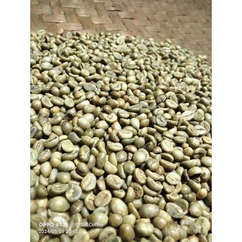 

Greenbean Robusta dataran tinggi Sidikalang Grade 1
