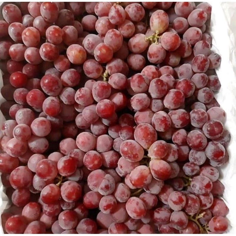 

Anggur red globe 1 kg