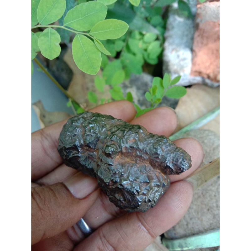 bbs sarutomo alami d sertai telornya