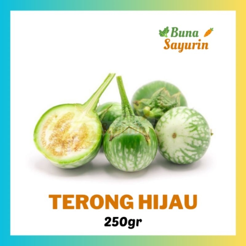 

Terong Bulat Hijau Terong Lalapan 250gr/500gr [BunaSayurin]