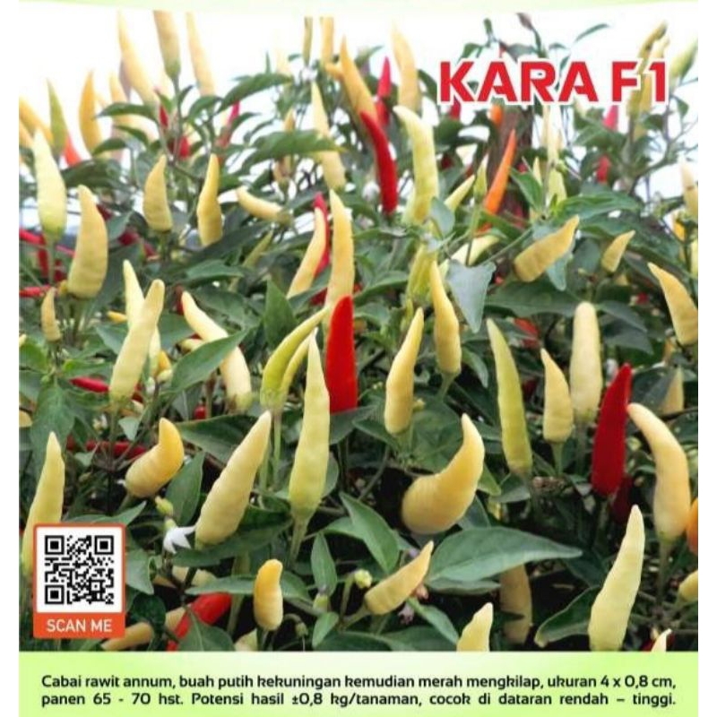 Cabe Rawit KARA F1 Isi 100 Biji | Benih Cabai Rawit Kara F1 | Bibit Cabe Rawit Kara F1 | Benih Sayur