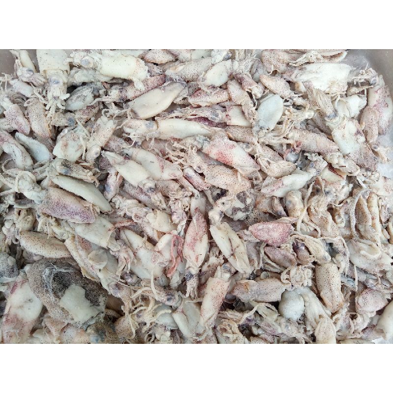 

Cumi kering asin 10kg up grosir ikan asin cumi