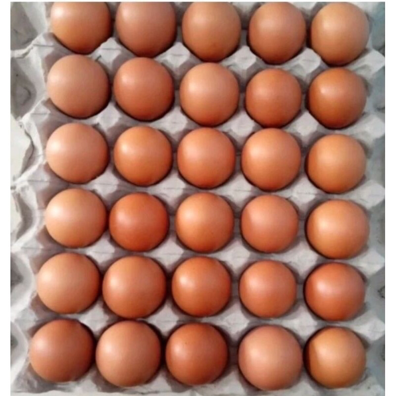 

BgKr telur ayam fresh / telur ayam negeri / telor ayam omega