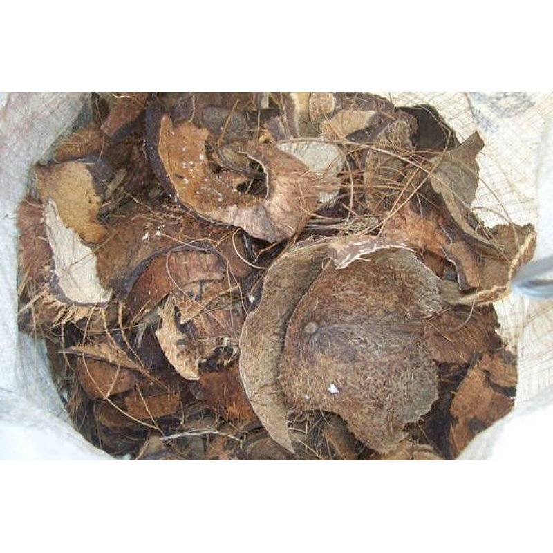 

BATOK KELAPA BASAH/KERING1kg