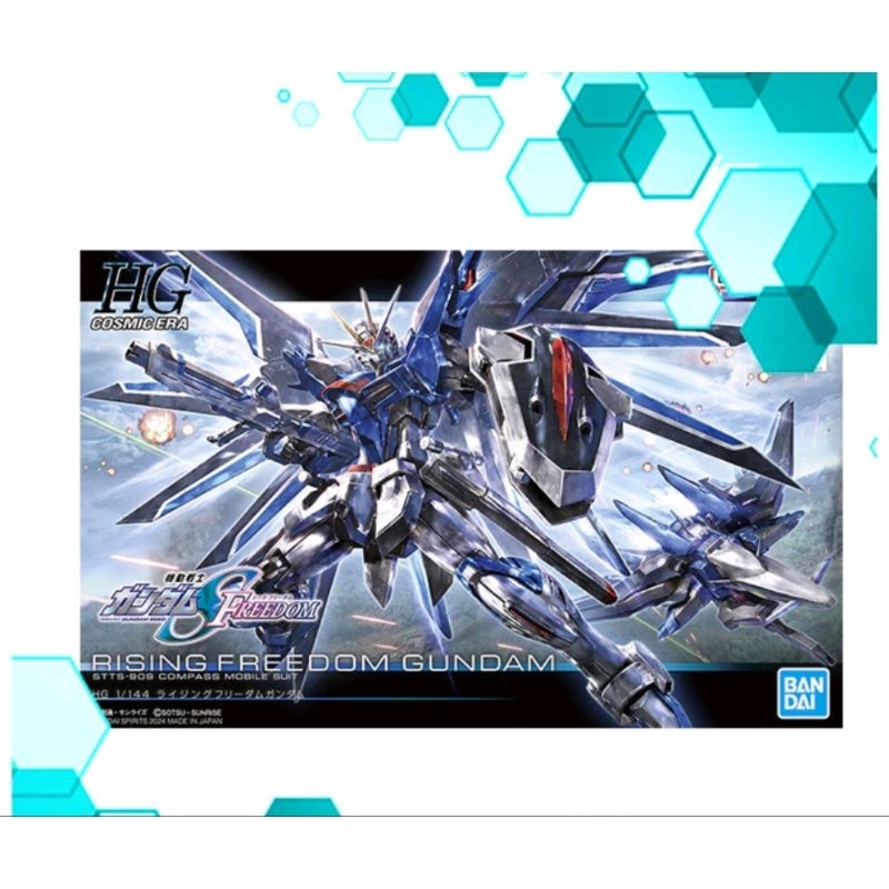 HG RISING FREEDOM GUNDAM