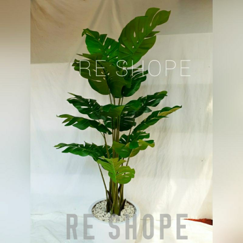 monstera jumbo latex import - Bunga Plastik tinggi 170cm - Bunga Hias Artificial / Bunga palsu Daun 