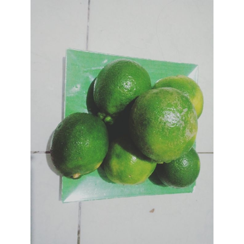 

Lemon Kalifornia, Lemon Super, isi 2-3 kali Lemon Biasa, Lemon Jumbo