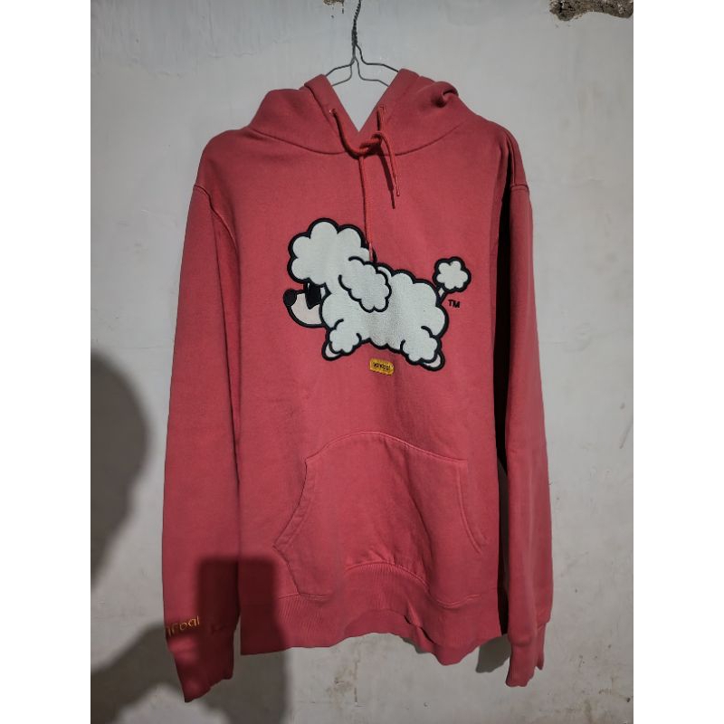 Pancoat anjing pudel