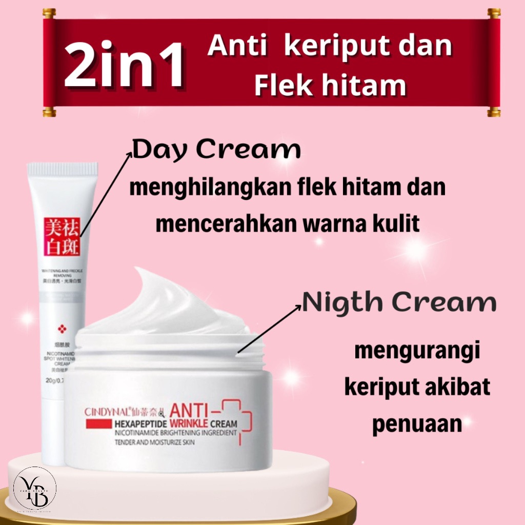 2in1 BPOM Cindynal Paket Siang Malam Sudah Dapat Night Cream Hexapeptide Anti Aging Dan Salep Krim P