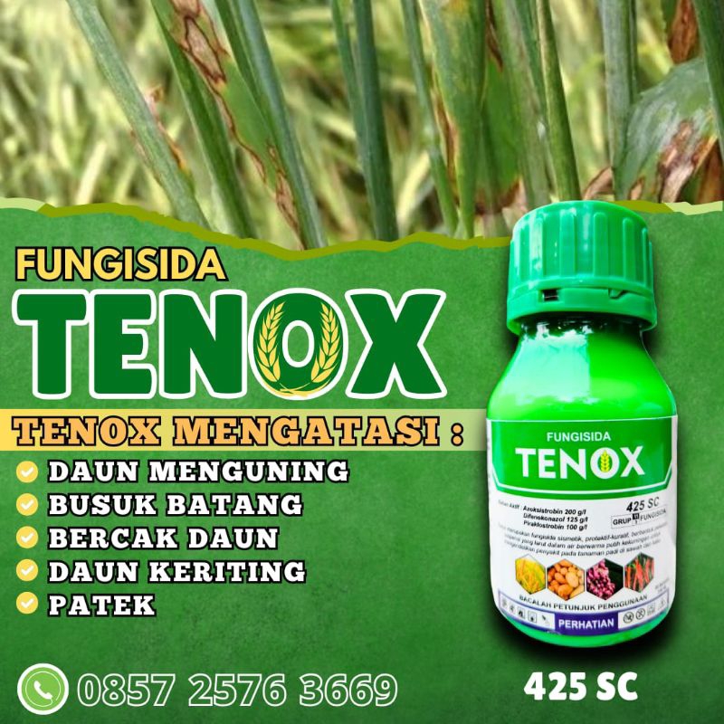 TENOX Fungisida patek