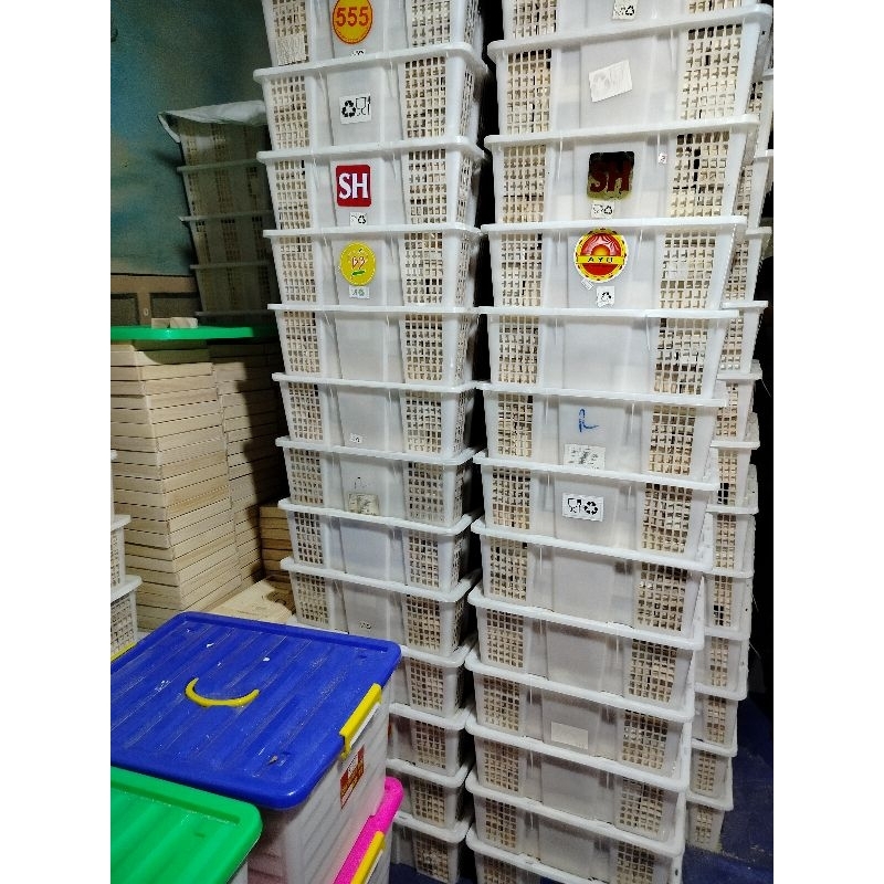balok pdk kayu pinus isi 105pcs