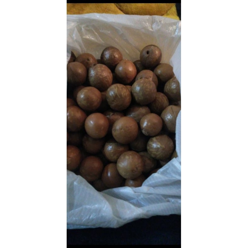 

Kacang macadamia 1kg