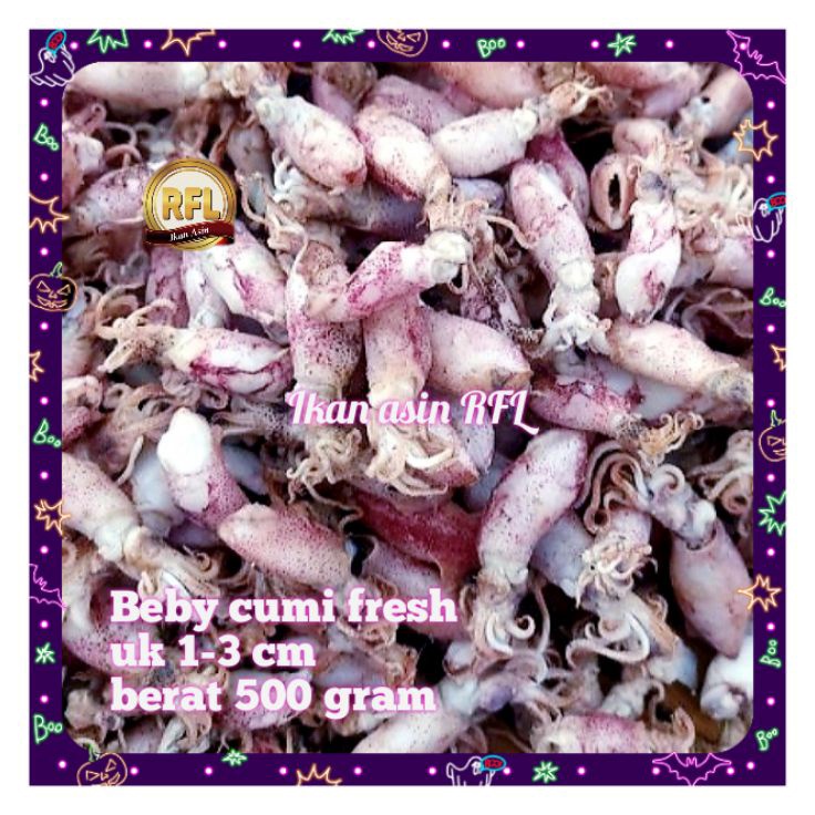 

Restock ikan asin cumi asin beby cumi rebus 5 gram