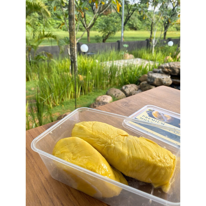 

Premium Grade Durian Monthong Parigi 500 Gram | Royal Durian Indonesia