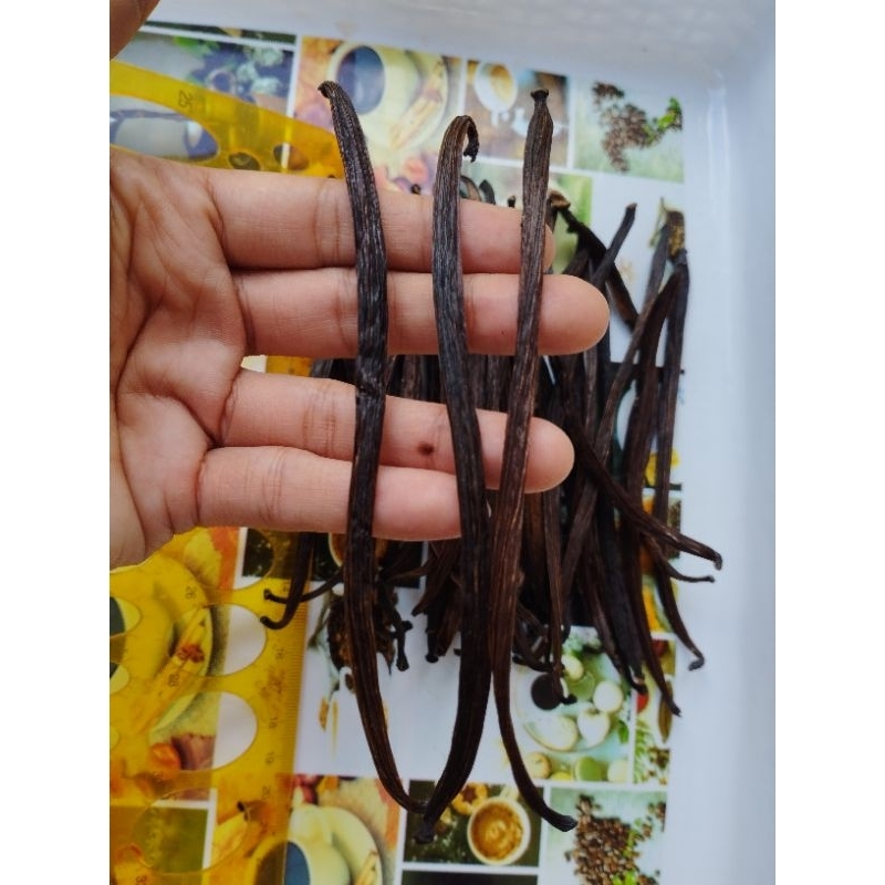 

VANILI kering asli PLANIFOLIA GRADE A 14cm - 17cm harga per batang (2gr)