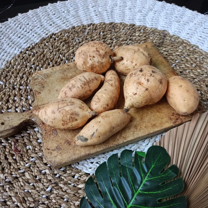 

UBI CILEMBU KECIL ( 1 kg isi kurang lebih 7 atau 8 buah)/ HONEY SWEET POTATO MINI / UBI MADU KECIL MUNGIL