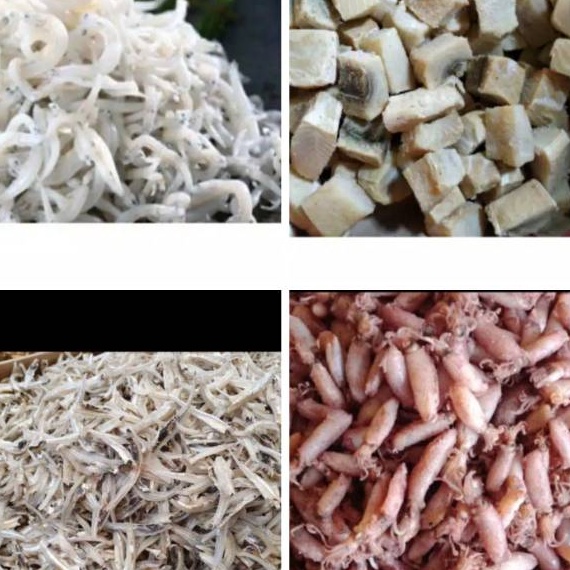 

MEGA SALE Ikan Asin Jambal Roti Peda Merah Cumi Asin Ebi Teri Nasi Medan Teri jengki