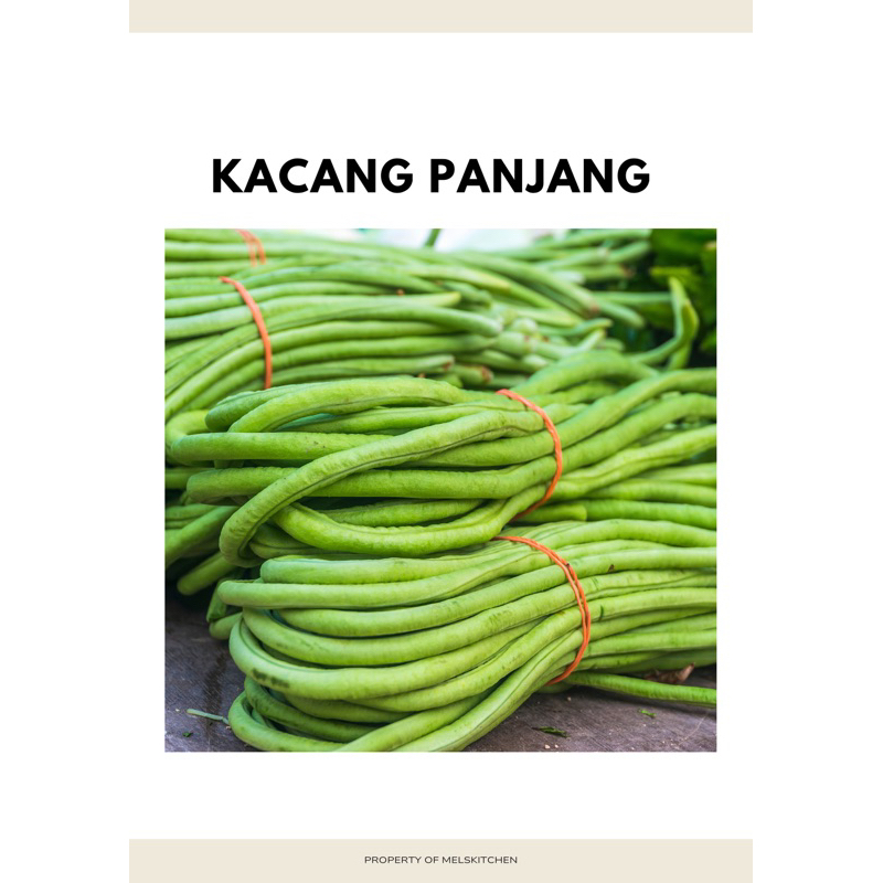 

kacang panjang hijau segar 500gr